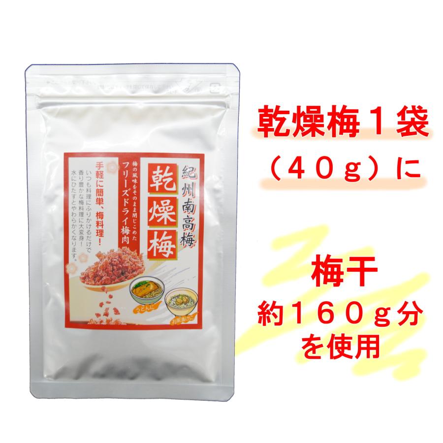 【ネコポス】紀州南高梅 乾燥梅 40ｇ フリーズドライ梅肉 赤しそ風味 うまみ調味料無添加 お試し まとめ買いがお得 ポイント消化 |  | 01