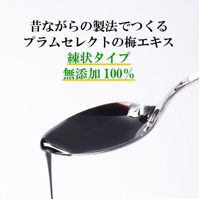 国産 梅エキス 濃縮原液 どろっと濃厚 無添加 80g クエン酸たっぷりの自然食品 |  | 03
