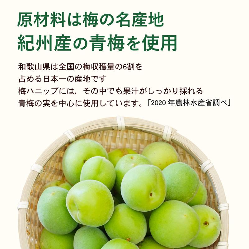 プラム食品 梅シロップ 梅ハニップ 希釈用 梅ドリンク 原液 590g 12本