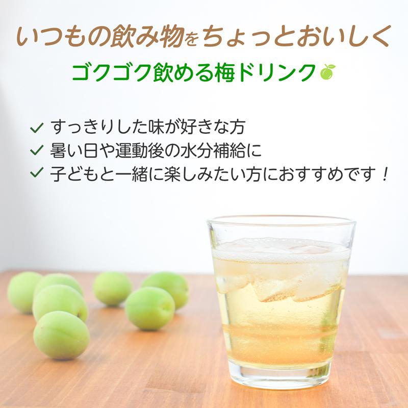 プラム食品 梅シロップ 梅ハニップ 希釈用 梅ドリンク 原液 590g 12本