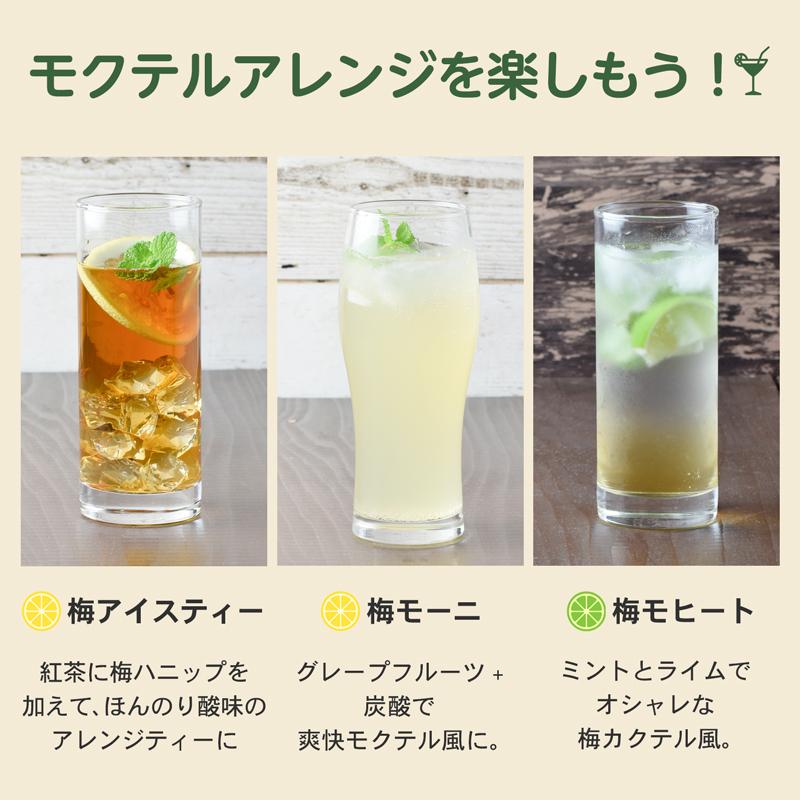 プラム食品 梅シロップ 梅ハニップ 希釈用 梅ドリンク 原液 590g 12本