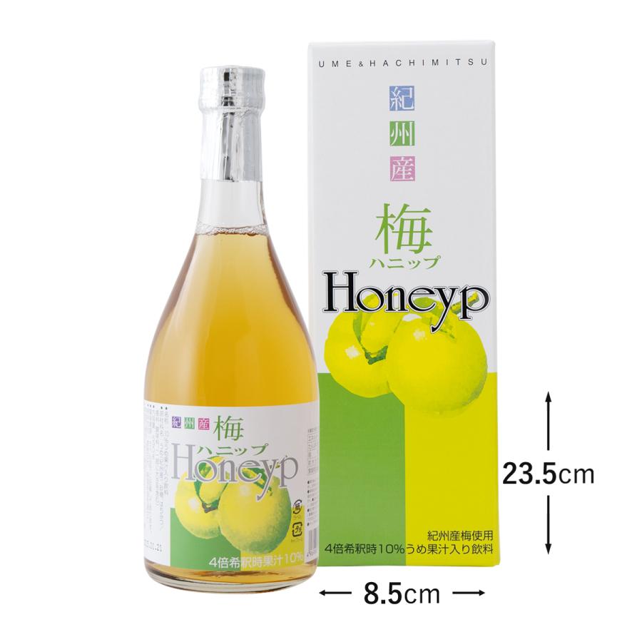 プラム食品 梅シロップ 梅ハニップ 希釈用 梅ドリンク 原液 590g 12本