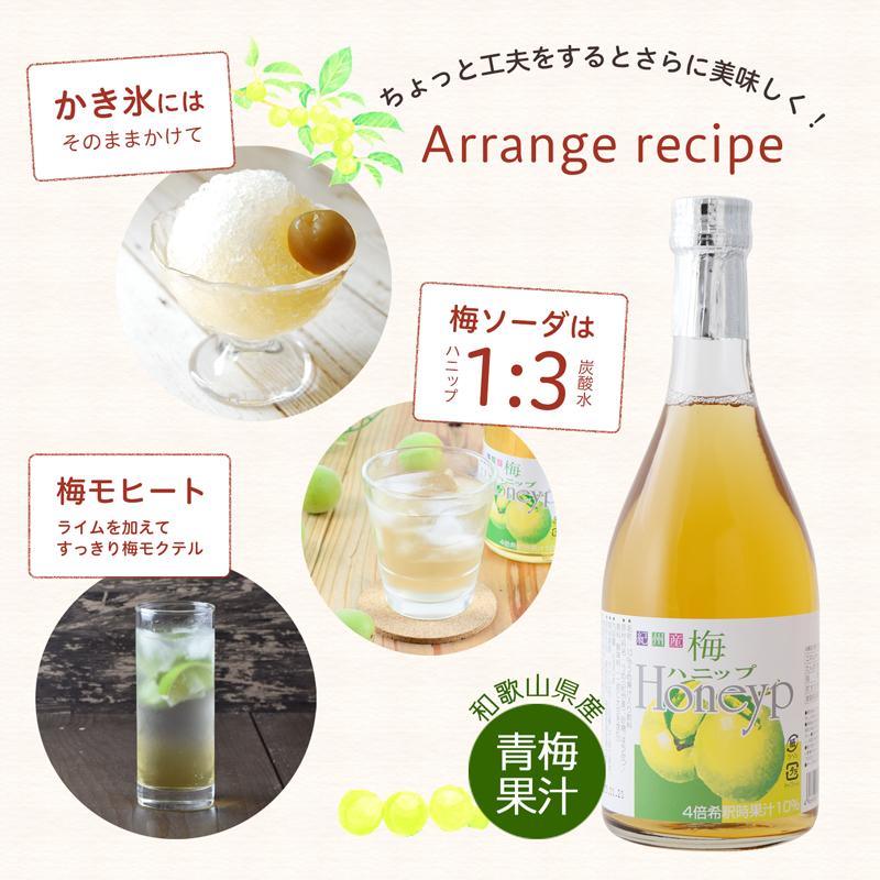 プラム食品 梅シロップ 梅ハニップ 希釈用 梅ドリンク 原液 590g 3本