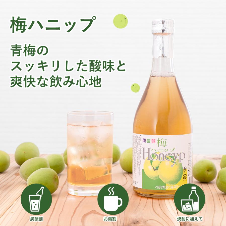 プラム食品 梅シロップ 希釈用梅ドリンク 梅ジュース 梅ハニップ 梅