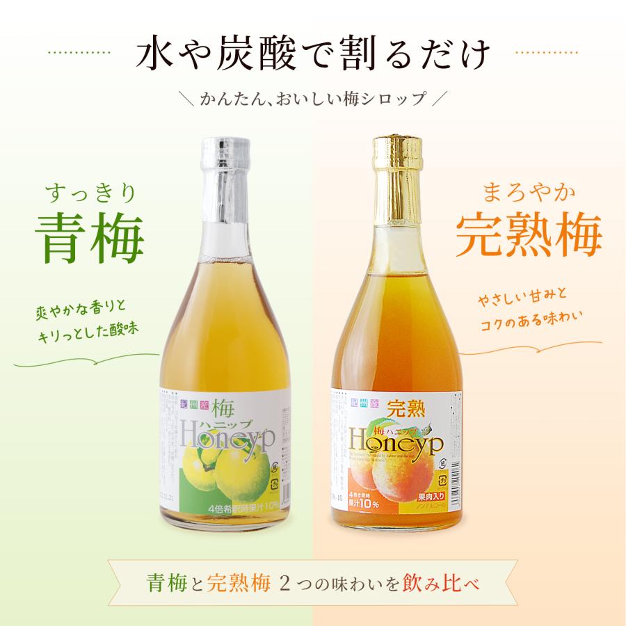 プラム食品 梅シロップ 希釈用梅ドリンク 梅ハニップ 青梅 完熟梅 各