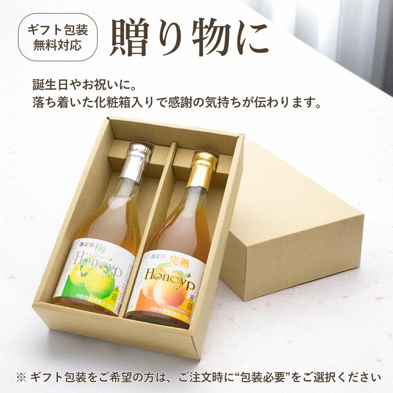 梅シロップ 梅ジュース 2種 飲み比べ 590g×2本 梅ハニップ 完熟梅