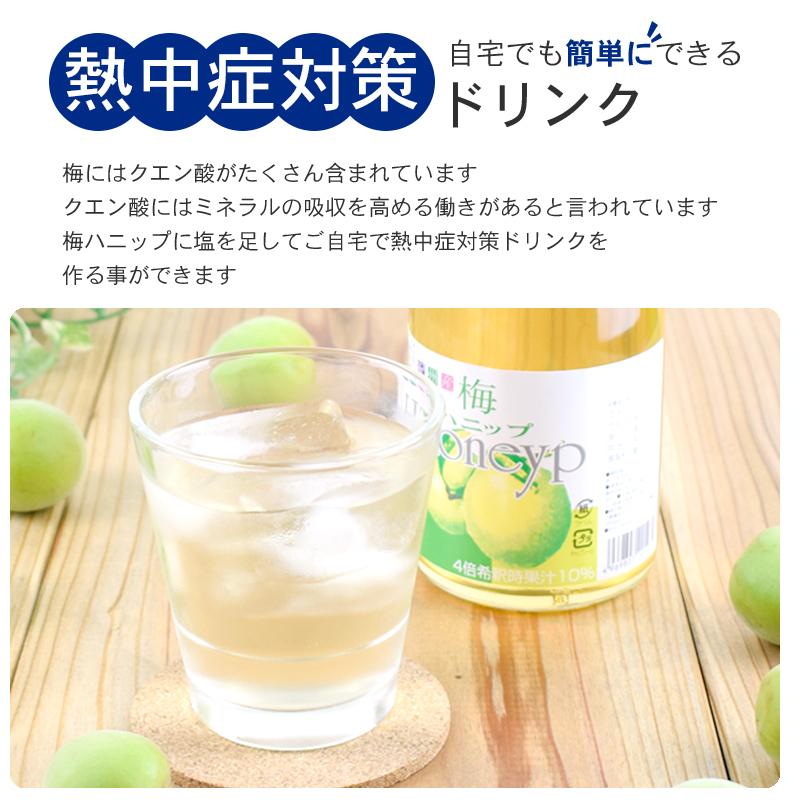 61 Off 7 16 土 より74時間限定 最大2 000円offクーポン 中野bc 梅の初恋 瓶 7ml 2本 Shipsctc Org