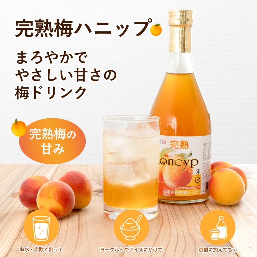 プラム食品 完熟梅ハニップ 590g×6本 梅シロップ 希釈用梅ドリンク