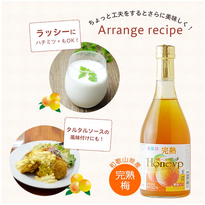 プラム食品 完熟梅ハニップ 590g×6本 梅シロップ 希釈用梅ドリンク
