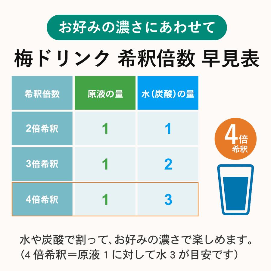 プラム食品 完熟梅ハニップ 590g×6本 梅シロップ 希釈用梅ドリンク
