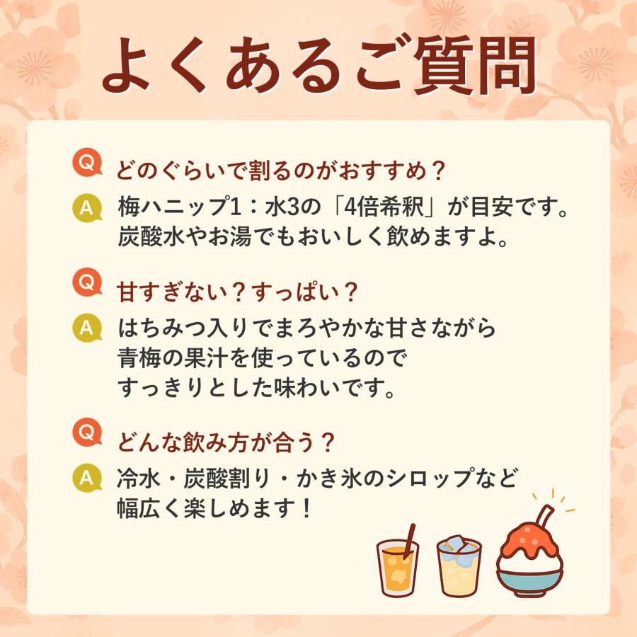 プラム食品 完熟梅ハニップ 590g×6本 梅シロップ 希釈用梅ドリンク