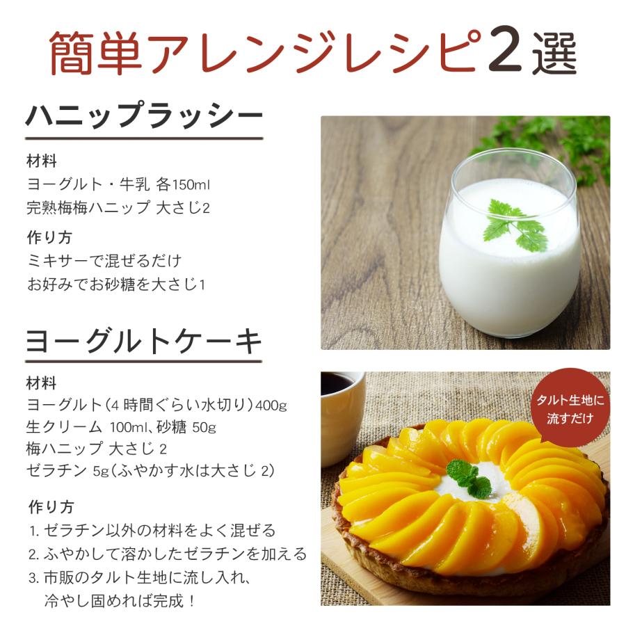 プラム食品 完熟梅ハニップ 590g×6本 梅シロップ 希釈用梅ドリンク