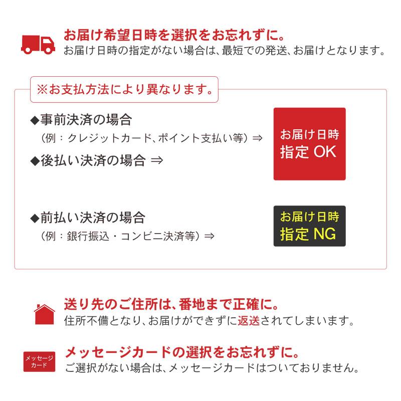 梅シロップ プレゼント ギフト 梅ジュース 希釈用ドリンク 完熟梅ハニップ かき氷シロップ 梅果汁 おうちモクテル 590g うめジュース｜plumsyokuhin｜10