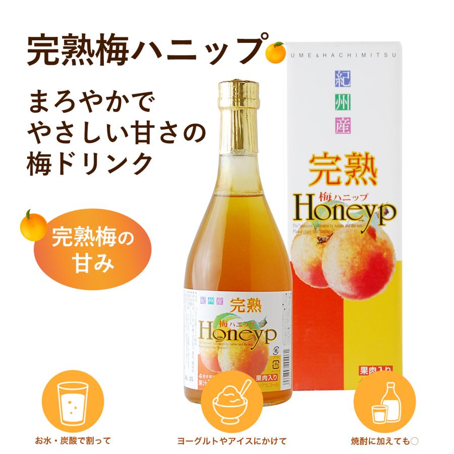 プラム食品 完熟梅ハニップ 590g 梅シロップ 希釈用梅ドリンク 濃縮梅
