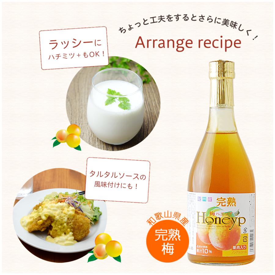 プラム食品 完熟梅ハニップ 590g 梅シロップ 希釈用梅ドリンク 濃縮梅