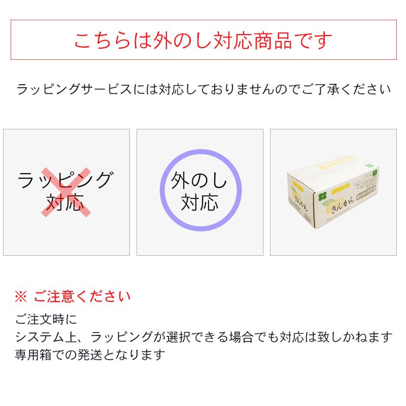 梅ジュース 梅の実入り ハニップC うめとりんご 清涼飲料水 200ｇ×15本 ギフト 贈り物 のし対応 お中元 御中元 箱買い お風呂上り 銭湯｜plumsyokuhin｜09