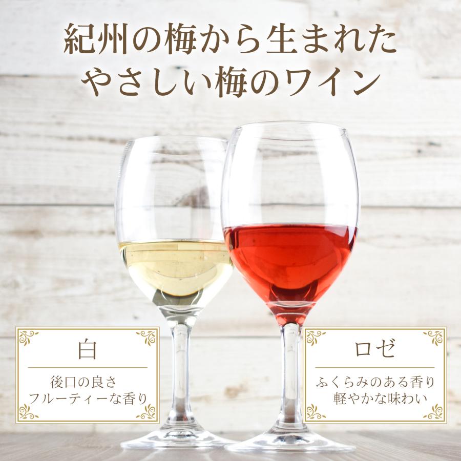 プラム食品 梅ワイン 飲み比べセット 白 ロゼ 360ml 2本 和歌山県産梅