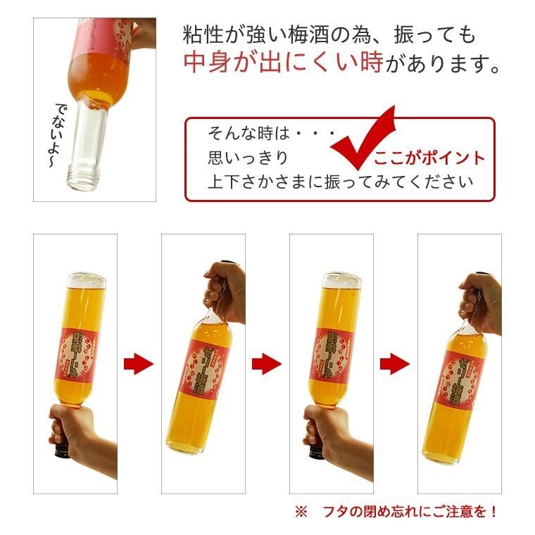 プラム食品 ゼリー梅酒 480ml 母の日 2026 ギフト デザート梅酒 公式