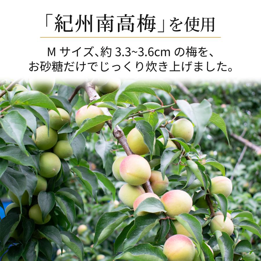 プラム食品 業務用 梅の甘露煮 紀州産南高梅 シロップ漬け 無色 1kg
