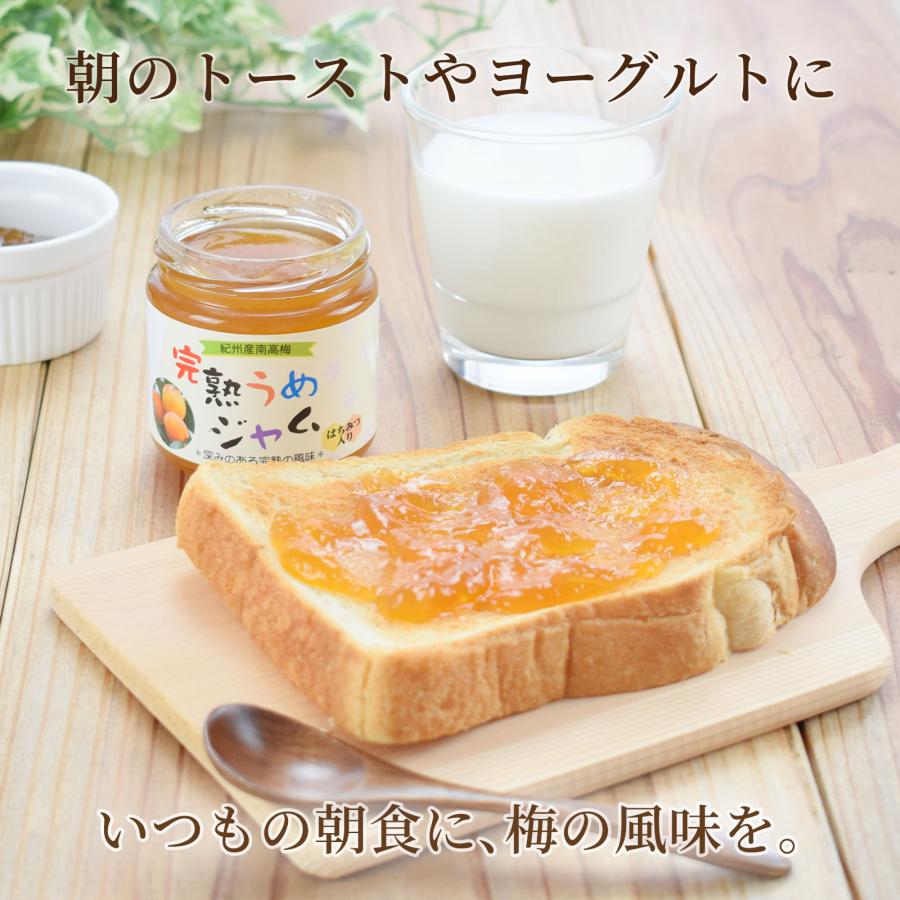 プラム食品 梅ジャム 完熟紀州南高梅 200g 公式ショップ : 梅酒専門店