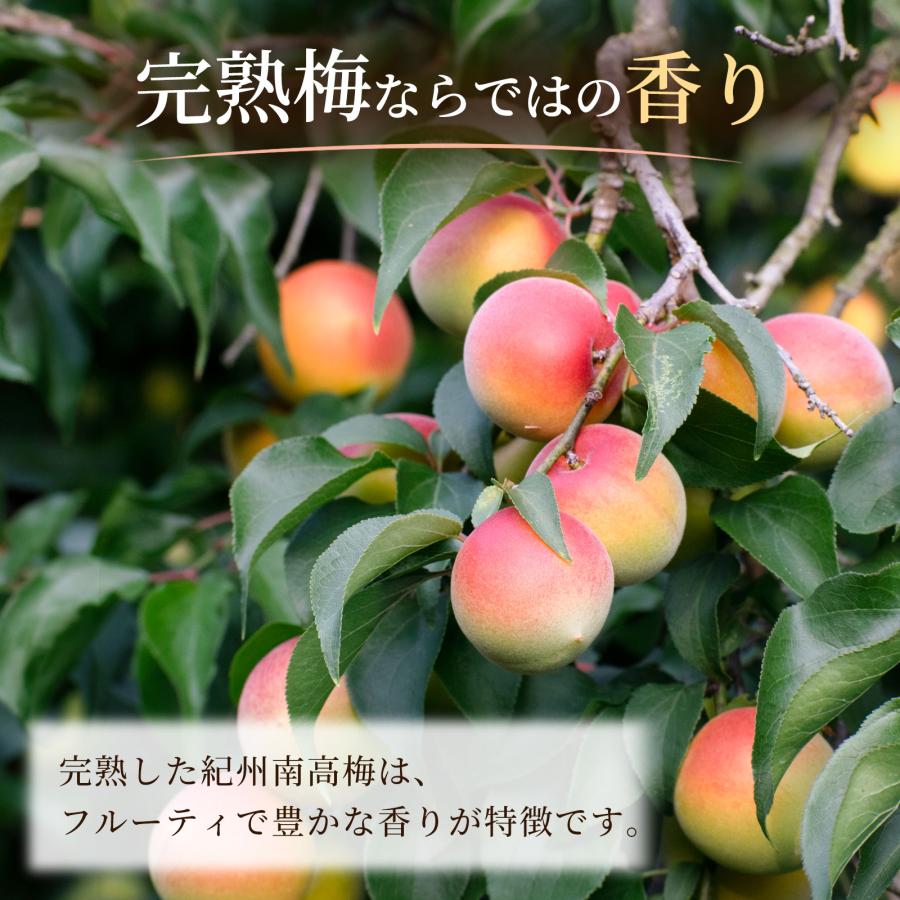 プラム食品 梅ジャム 完熟紀州南高梅 200g 公式ショップ : 梅酒専門店