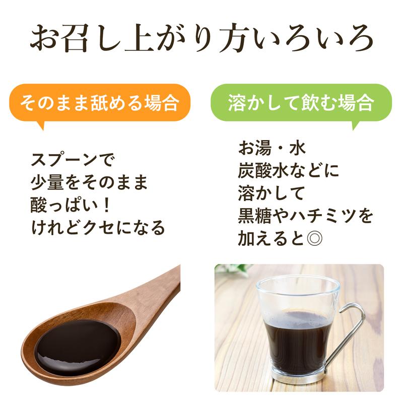 梅エキス 練タイプ 55g×2個 梅肉エキス 紀州産青梅使用 自社製造
