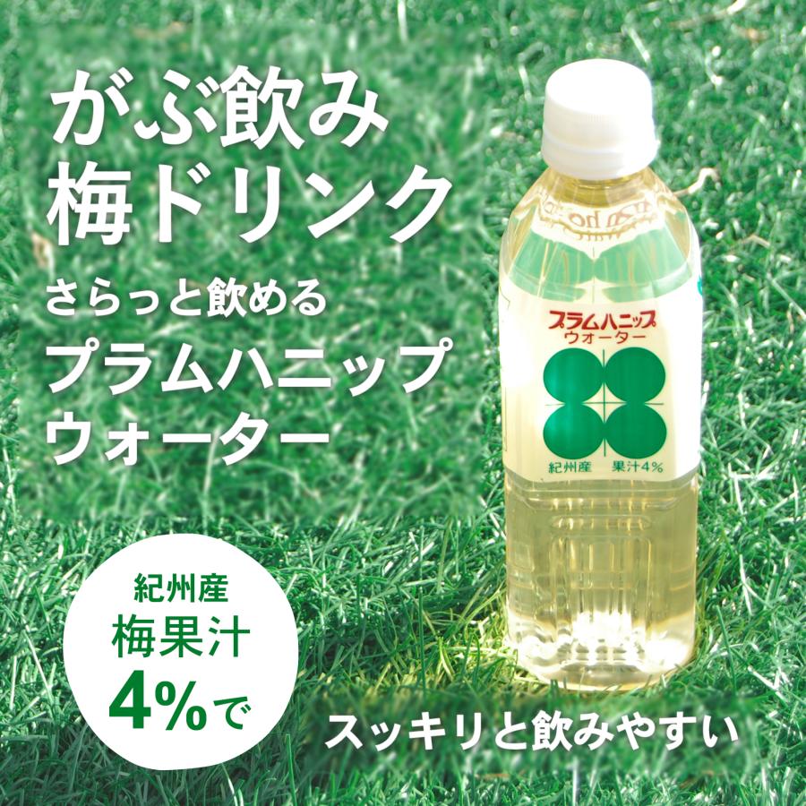 はしうめページ 他の方の購入不可 プラム食品 梅ドリンク プラムハニップウォーター 500ml 24本セット