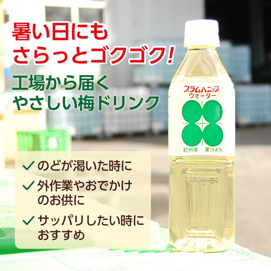プラム食品 梅ドリンク プラムハニップウォーター 500ml 24本セット