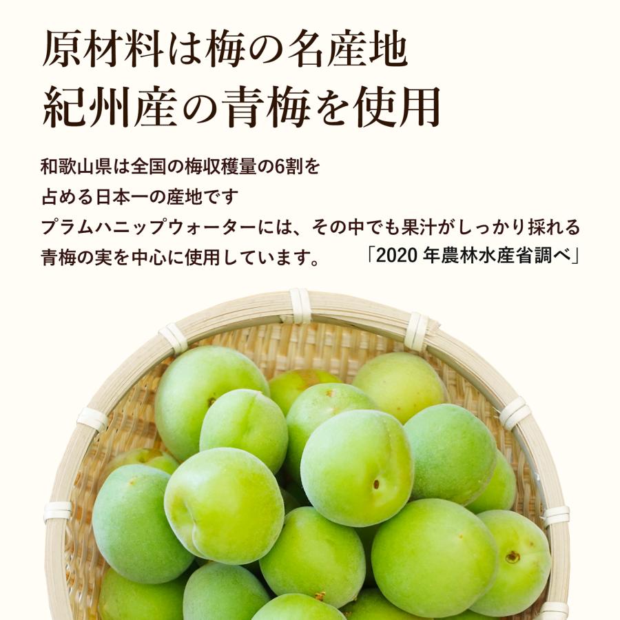 プラム食品 梅ドリンク プラムハニップウォーター 500ml 24本セット