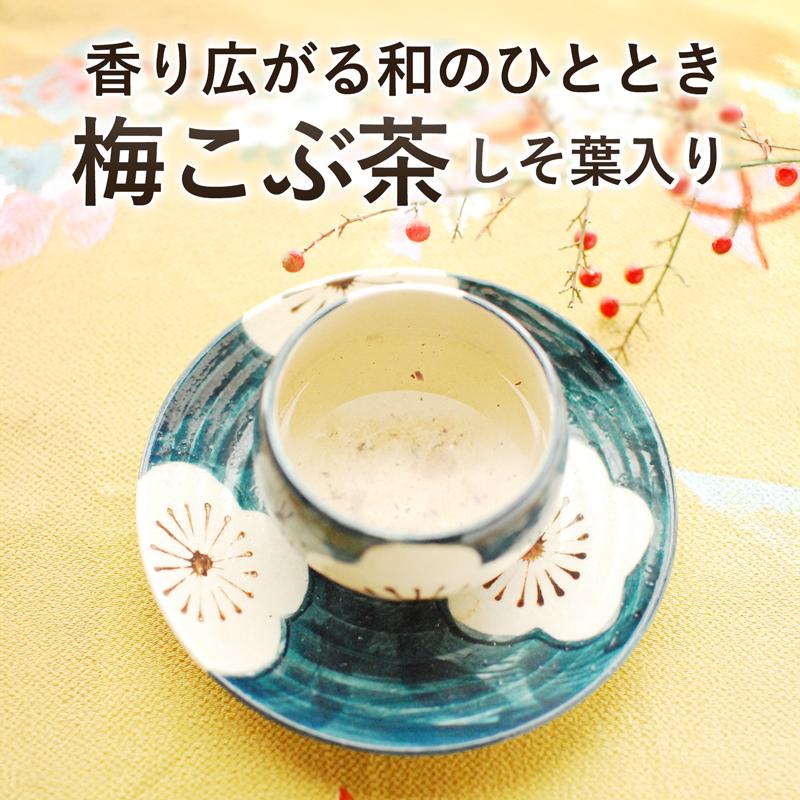 プラム食品 梅昆布茶 紀州産梅使用 しそ葉入り 梅こぶ茶 40g×2袋 公式