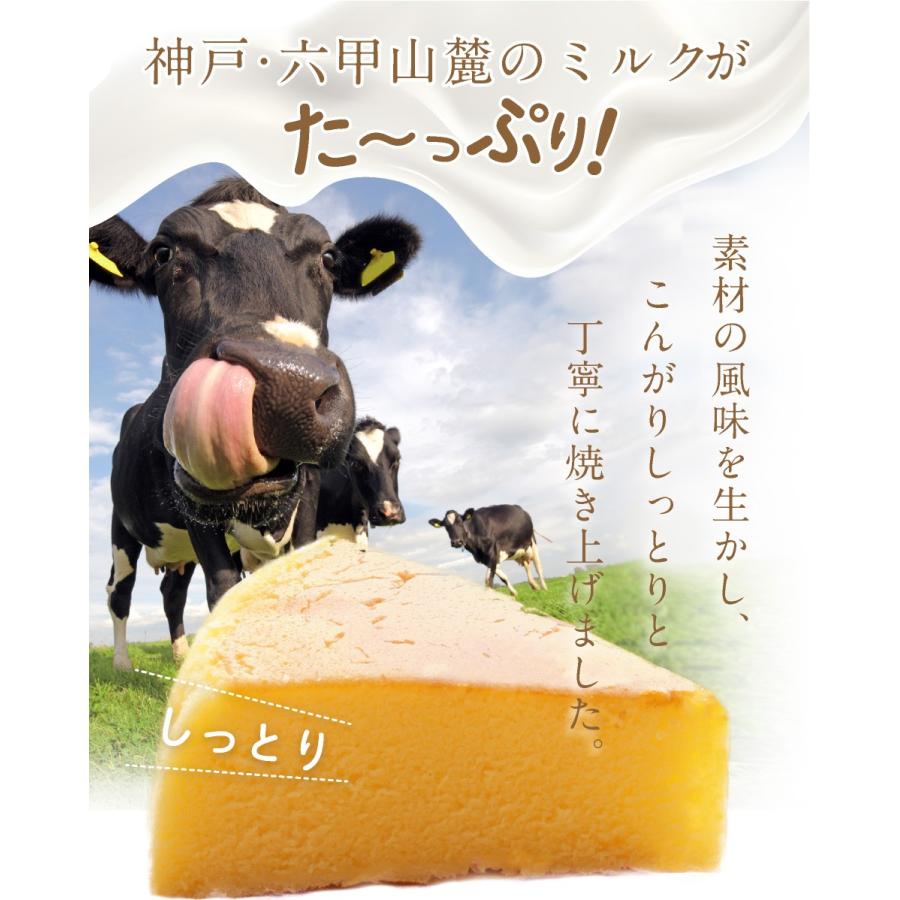 六甲山麓牛乳仕込み 遊酪舎しっとりしたちーずけーき チーズ
