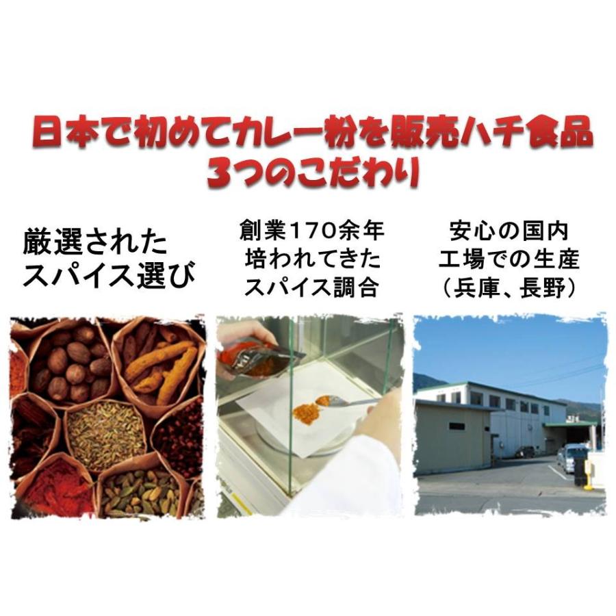 大阪名物 ハチ食品 レトルトカレー ５種類から選べる 3袋セット ポイント消化　ポスト投函便　カレー　商品券消化｜plumterracenet｜02