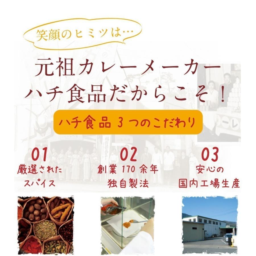 １０袋セット 大阪名物 ハチ食品 レトルトカレー ５種類から選べる 宅配便　大人気 カレー 激安 格安 最安値挑戦 ペイペイ　送料無料｜plumterracenet｜03