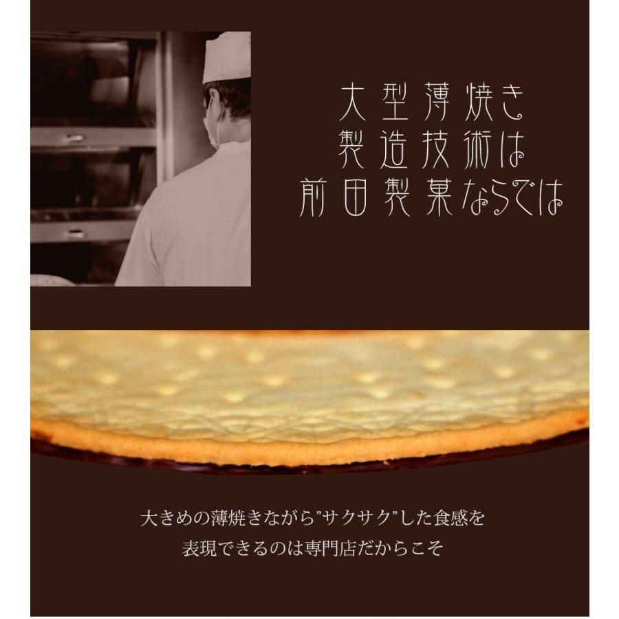10枚セット 前田製菓 ビスケットサンド リサーチ (チョコレート