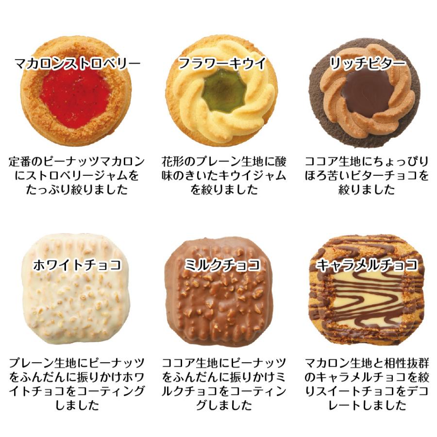 訳あり 焼き菓子 ロシア ケーキ 6種類 12個セット 老舗の人気洋菓子 中山製菓 1000円ポッキリ 送料無料 ポスト投函便 クッキー｜plumterracenet｜03