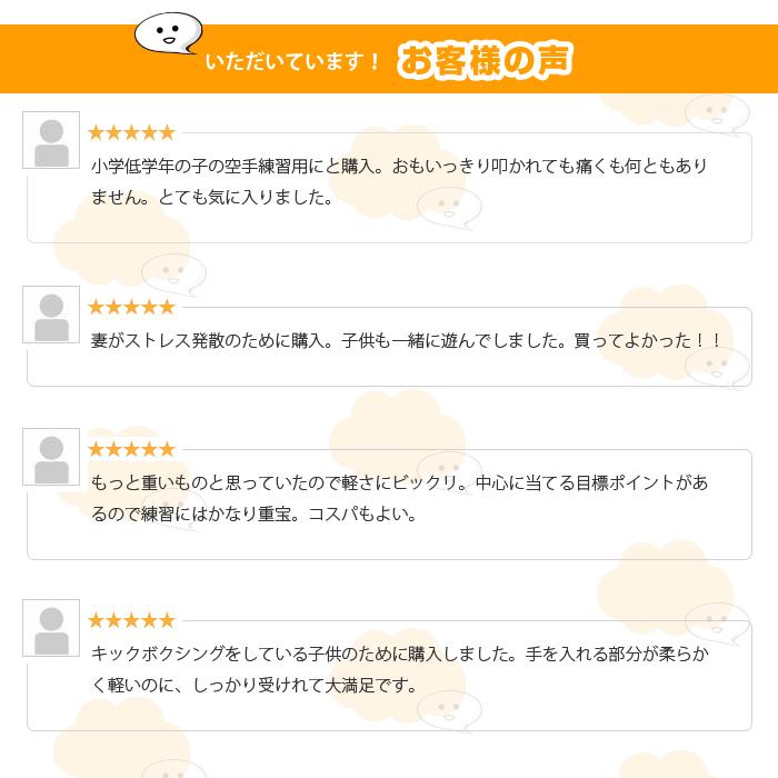 両手兼用 左右セット 軽量 パンチンググローブ パンチングミット 格闘技 練習 用 ボクシング ミット ボクササイズ 運動 |  | 05