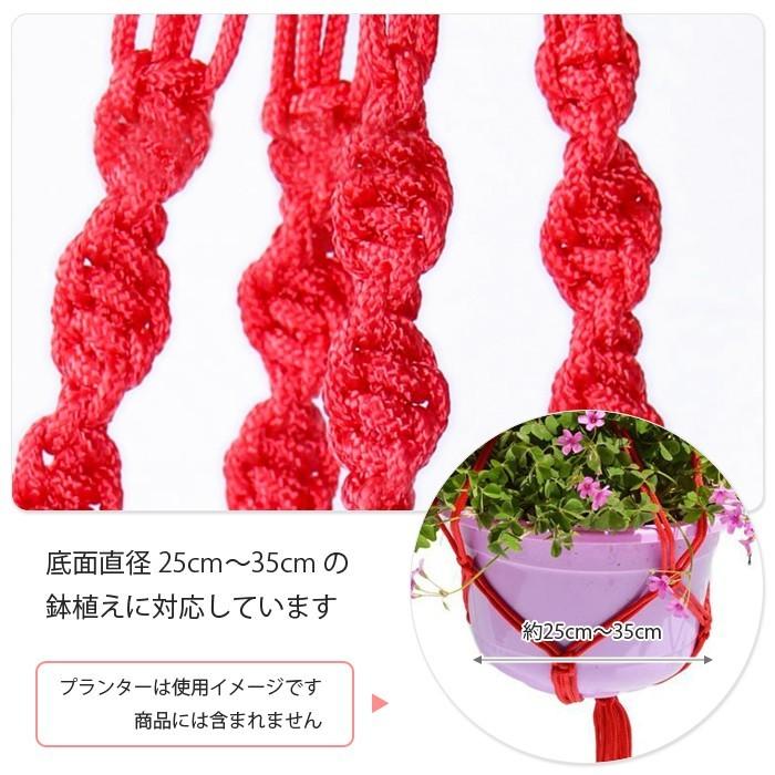 プランターハンガー 観葉植物 プラントハンガー 鉢 吊るす プラントホルダー 飾る グリーン ハンギング 吊り ポット インテリア ディスプレイ |  | 02