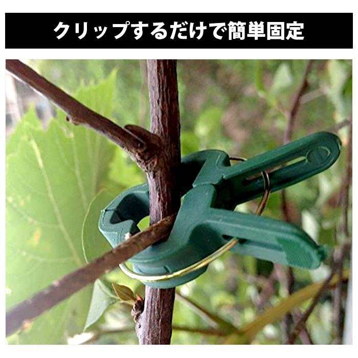 20個入り 園芸クリップ 植物用 クリップ ピンチ サポートクリップ 園芸ばさみ 誘引作業 洗濯ばさみ トマト キュウリ ナス の育成に |  | 01