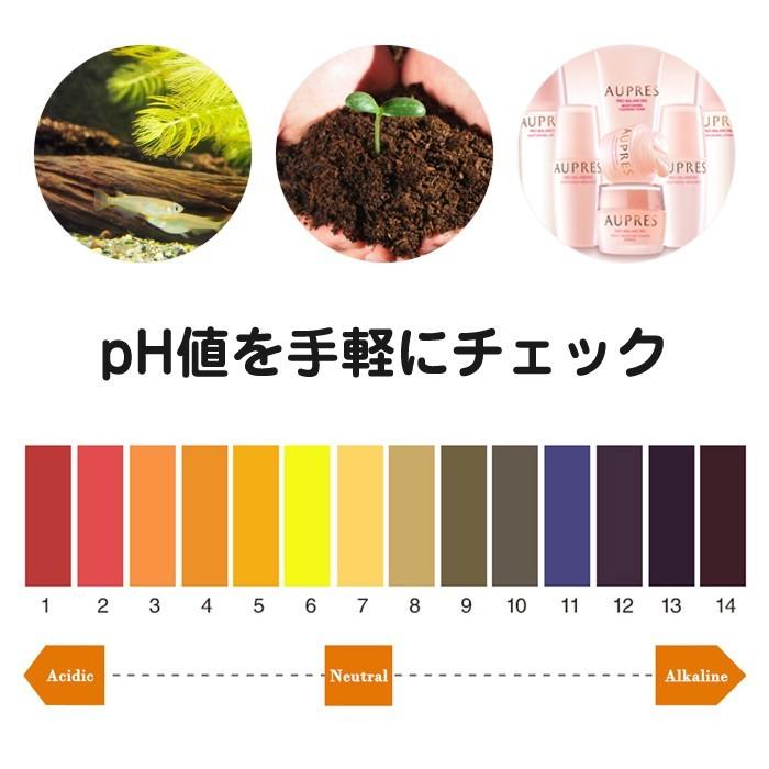 80枚入 pH試験紙 リトマス 試験紙 検査 宿題 自由研究 低価格 夏休み 理科 実験 ブック スティック タイプ |  | 01