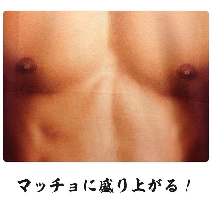 マッチョ Tシャツ 男の裸 筋肉 ムキムキ おもしろTシャツ L イベント コスプレ グッズ パーティー 衣装 |  | 01