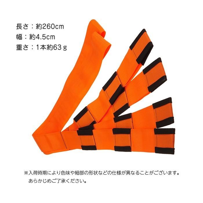 荷物 固定 ベルト 運搬 引っ越し 簡単固定 家具 移動 ラクラク 持ち運び トランスポーター バンド 大掃除 模様替え |  | 05