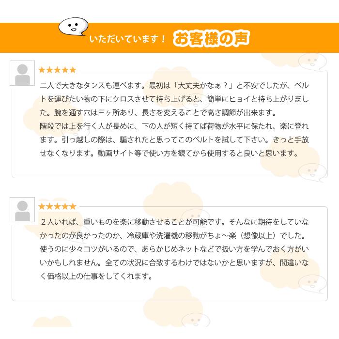 荷物 固定 ベルト 運搬 引っ越し 簡単固定 家具 移動 ラクラク 持ち運び トランスポーター バンド 大掃除 模様替え |  | 06