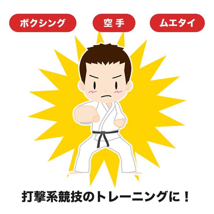 2個組 キック ミット 空手 ボクシング ダイエット テコンドー 格闘技 ストレス 解消 |  | 01