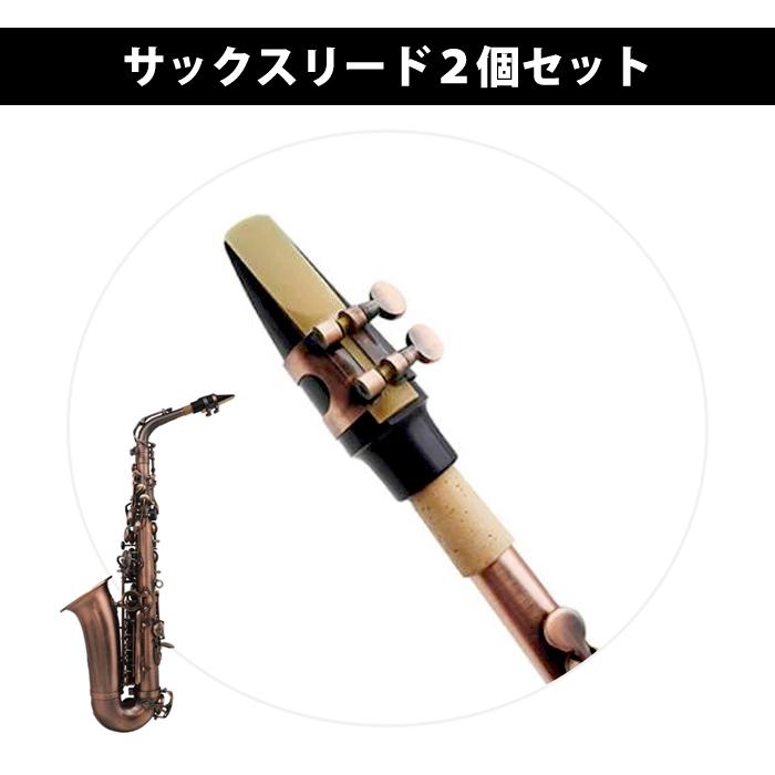 2個入 サックスリード サックス リード 2半 2 1/2 2.5 初心者 練習用 消耗品 楽器 予備 備品 吹奏楽 部活 パーツ アクセサリー |  | 01