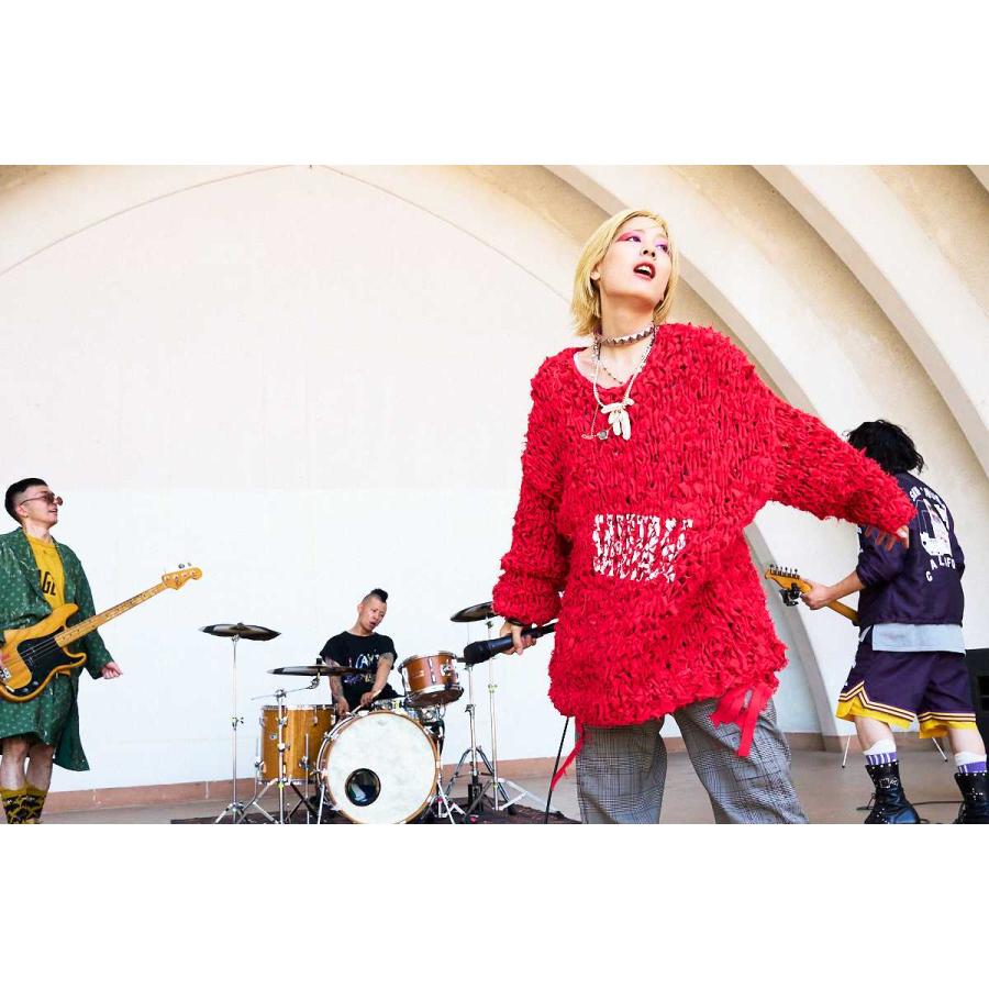 新品タグ付き SEVESKIG / セヴシグ ドット柄 シャツ S 日本製 T-SHIRT COLLECTION – SEVESKIG