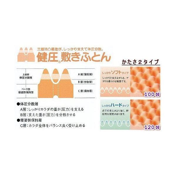 西川（nishikawa） 東京西川 健圧敷きふとん しっかりハード シングル