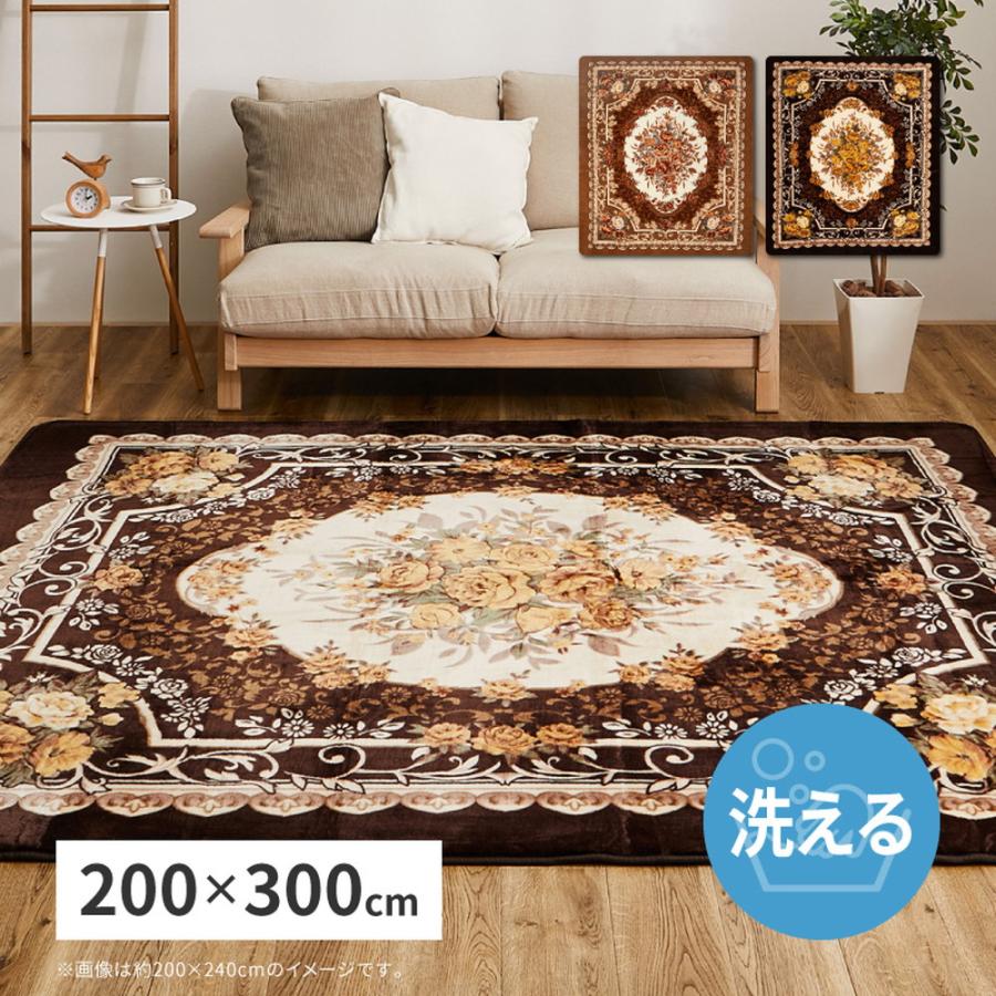 洗えるラグ アドリア 約200×300cm 長方形 手洗い可 ホットカーペット 