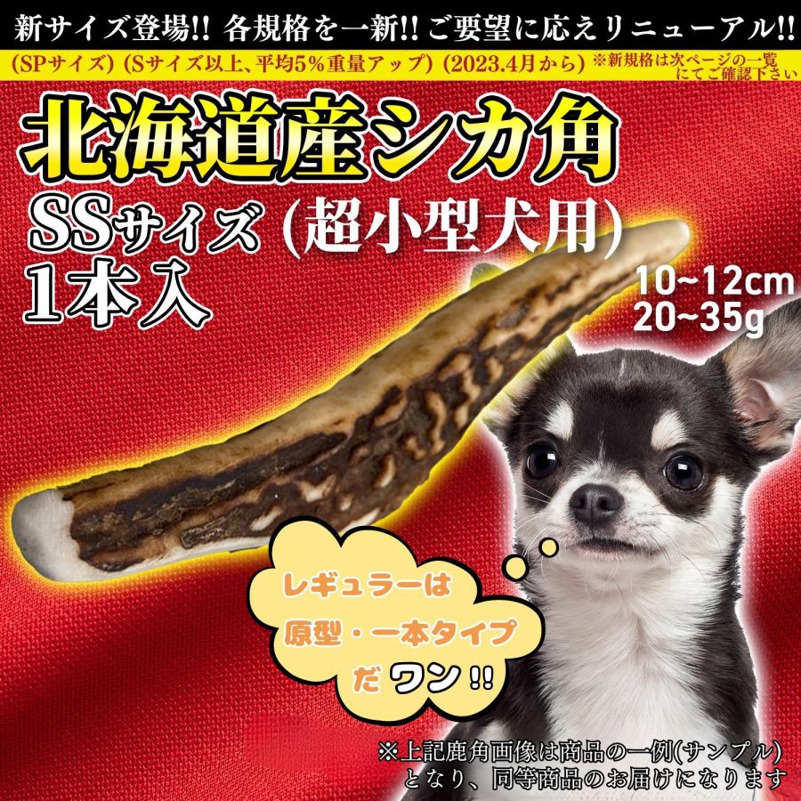 +One way　鹿の角 SSサイズ『ガリッとホーンレギュラー（一本物）超小型犬用１本入り』犬のおやつ　犬用品　エゾシカ(鹿の角)　デンタルガム　しつけ　無添加 |  | 01