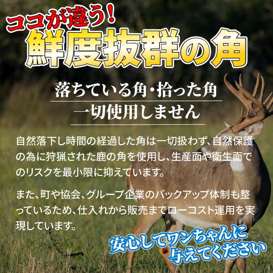 +One way　鹿の角 SSサイズ『ガリッとホーンレギュラー（一本物）超小型犬用１本入り』犬のおやつ　犬用品　エゾシカ(鹿の角)　デンタルガム　しつけ　無添加 |  | 07