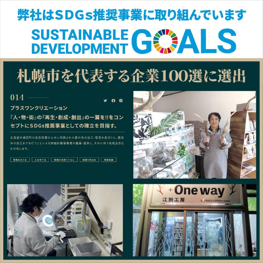 +One way　鹿の角 SSサイズ『ガリッとホーンレギュラー（一本物）超小型犬用１本入り』犬のおやつ　犬用品　エゾシカ(鹿の角)　デンタルガム　しつけ　無添加 |  | 09